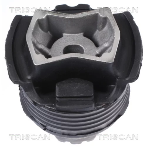 Uloženie tela nápravy 8500 238010 /TRISCAN/ - obr. 1