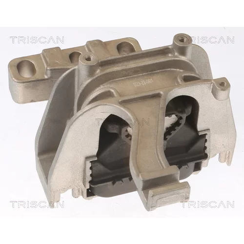 Uloženie motora 8505 29117 /TRISCAN/