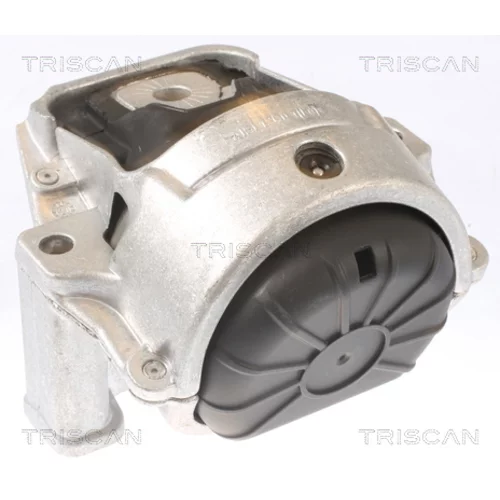 Uloženie motora 8505 29130 /TRISCAN/ - obr. 1
