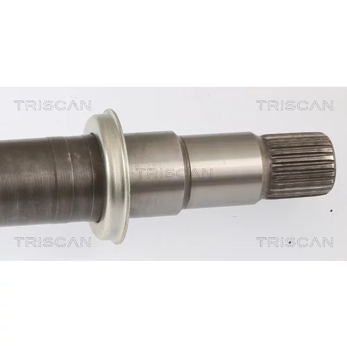 Hnací hriadeľ 8540 13556 /TRISCAN/ - obr. 3