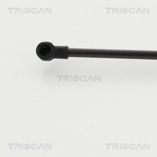 Pneumatická pružina, Batožinový/nákladný priestor 8710 13284 /TRISCAN/ - obr. 1