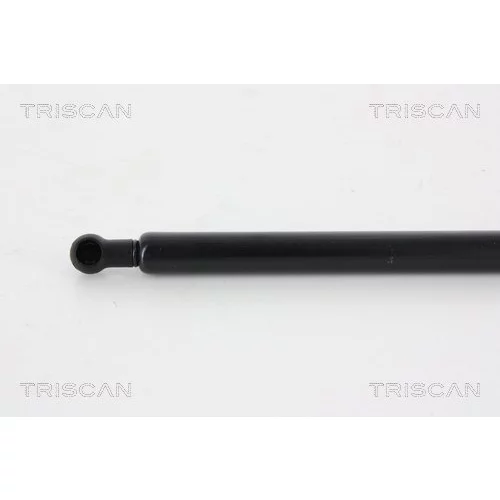 Pneumatická pružina, Batožinový/nákladný priestor 8710 14246 /TRISCAN/ - obr. 1