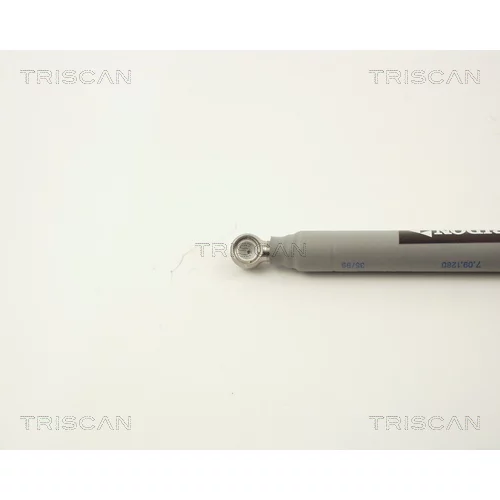 Tyčový tlmič pre vstrekovací systém 8710 2309 /TRISCAN/ - obr. 1