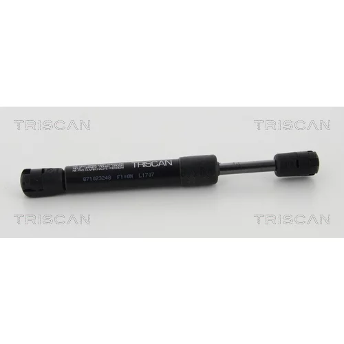 Pneumatická pružina, Batožinový/nákladný priestor TRISCAN 8710 23248