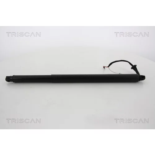 Pneumatická pružina, Batožinový/nákladný priestor 8710 67290 /TRISCAN/