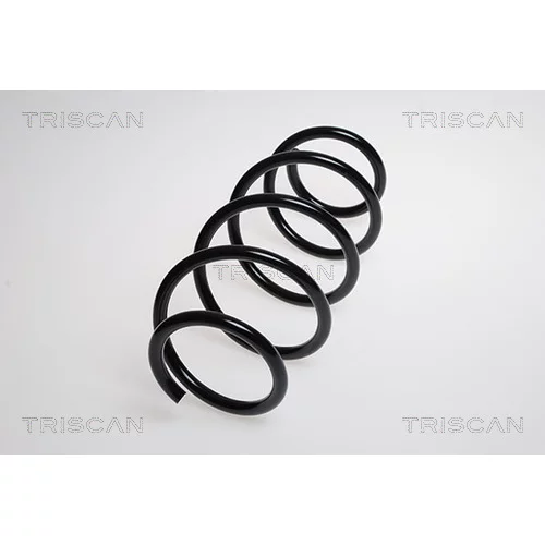 Pružina podvozku TRISCAN 8750 29194
