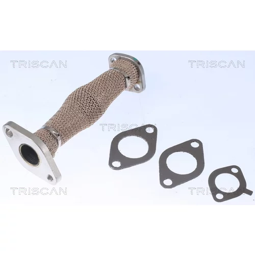 Potrubie EGR ventilu TRISCAN 8811 29103