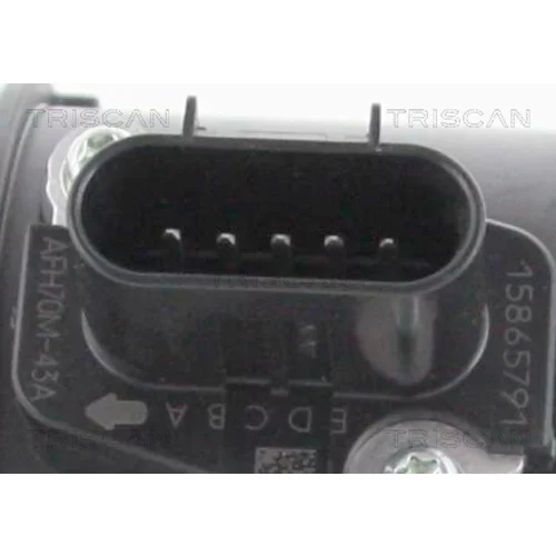 Merač hmotnosti vzduchu 8812 24041 /TRISCAN/ - obr. 1