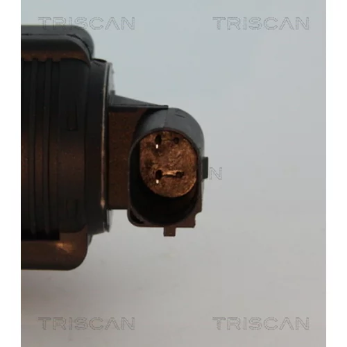 EGR ventil 8813 10015 /TRISCAN/ - obr. 1