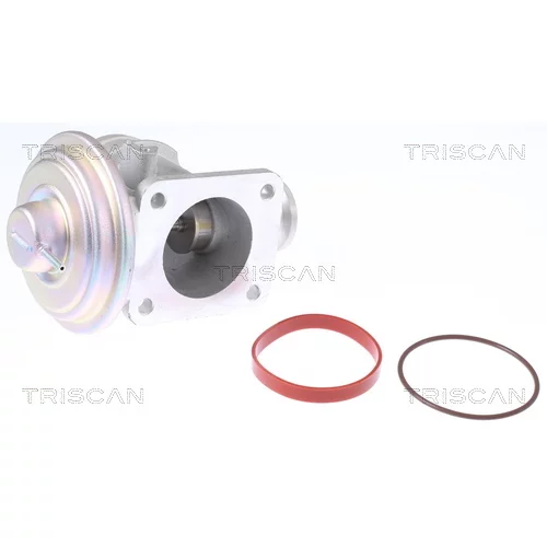EGR ventil TRISCAN 8813 11004