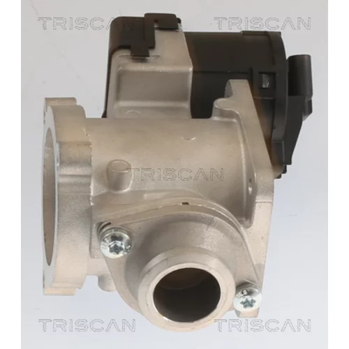 EGR ventil 8813 11020 /TRISCAN/ - obr. 2