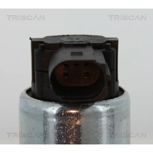 EGR ventil 8813 15052 /TRISCAN/ - obr. 1