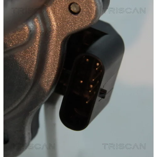EGR ventil 8813 15206 /TRISCAN/ - obr. 1