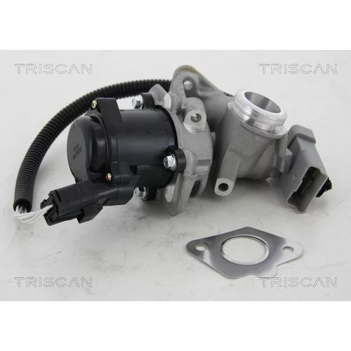EGR ventil TRISCAN 8813 16034