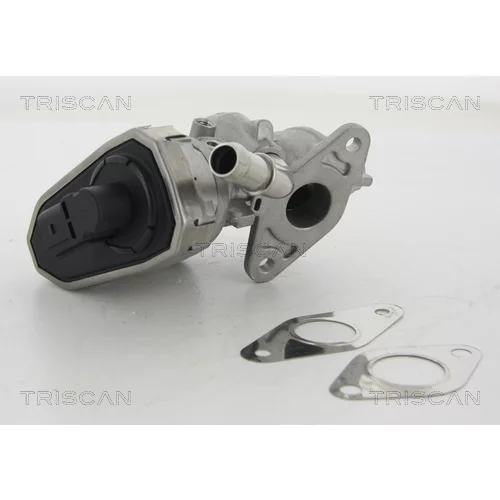 EGR ventil TRISCAN 8813 16100