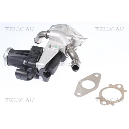 EGR ventil TRISCAN 8813 16150