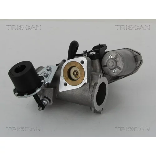 EGR ventil 8813 16202 /TRISCAN/ - obr. 2