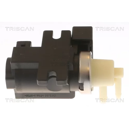 Menič tlaku, Riadenie výfukových plynov 8813 24058 /TRISCAN/ - obr. 2