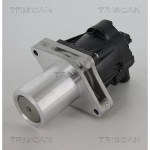 EGR ventil 8813 24205 /TRISCAN/
