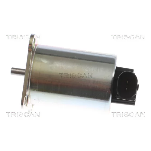 EGR ventil 8813 27009 /TRISCAN/ - obr. 1