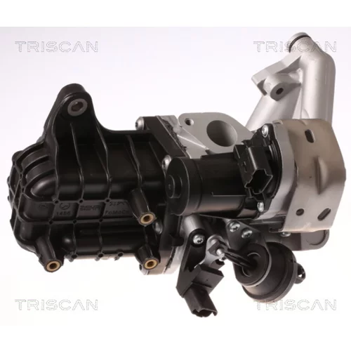 EGR ventil 8813 28046 /TRISCAN/ - obr. 1