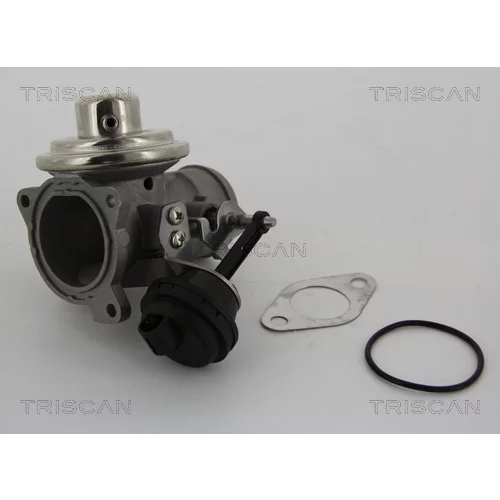 EGR ventil 8813 29001 /TRISCAN/ - obr. 1