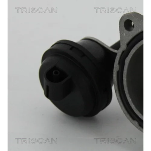 EGR ventil 8813 29057 /TRISCAN/ - obr. 1