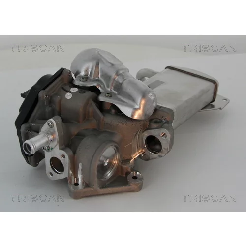 EGR ventil TRISCAN 8813 29304