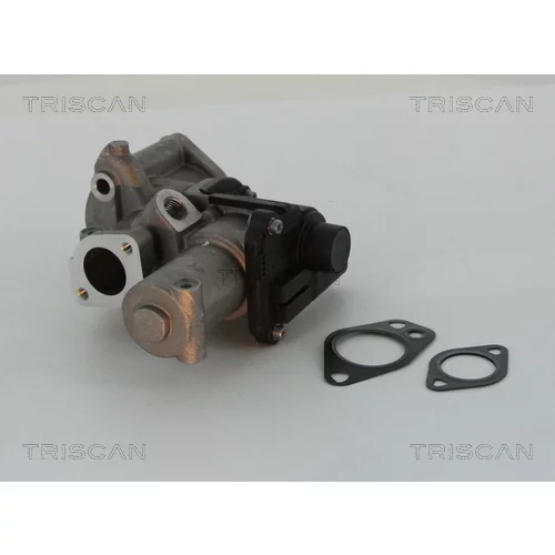 EGR ventil TRISCAN 8813 29312