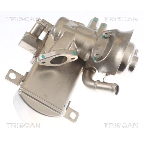 EGR ventil TRISCAN 8813 29347