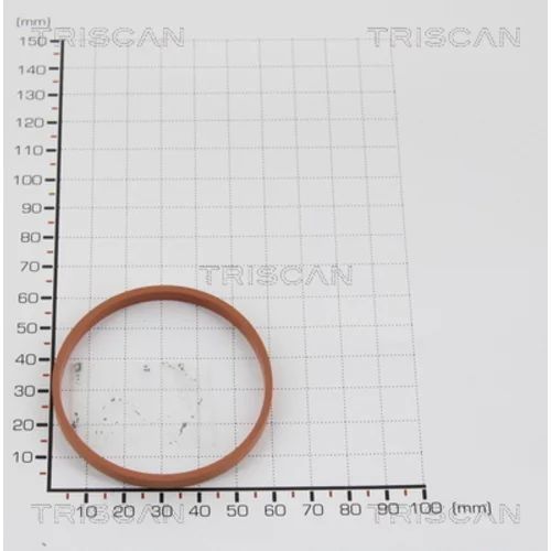 Tesnenie 8813 9939 /TRISCAN/