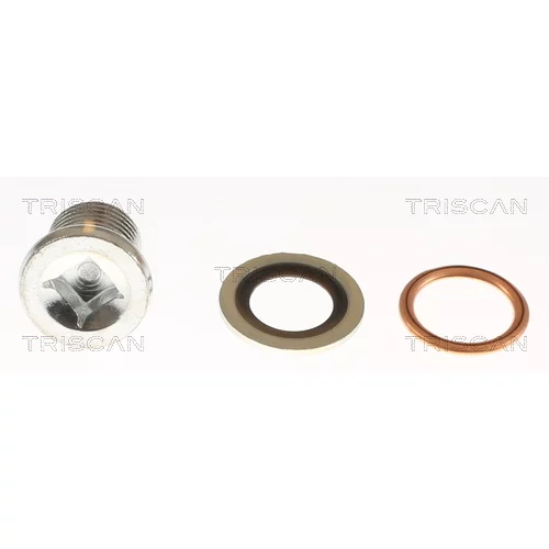 Skrutka olejovej vane TRISCAN 9500 1003-20