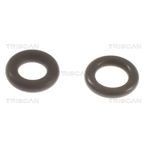 Sada tesnení pre vstrekovaciu trysku TRISCAN 596-1003