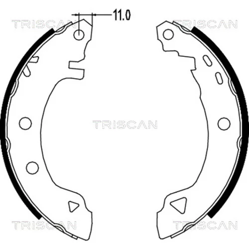 Sada brzdových čeľustí TRISCAN 8100 15580