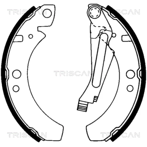 Sada brzdových čeľustí TRISCAN 8100 29266