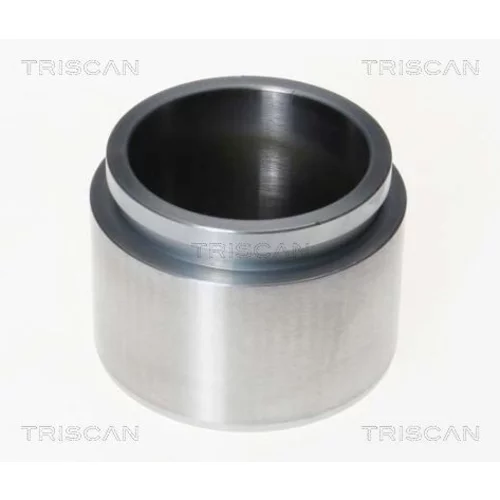Piest brzdového strmeňa 8170 232122 /TRISCAN/