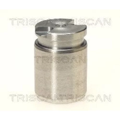 Piest brzdového strmeňa 8170 233008 /TRISCAN/