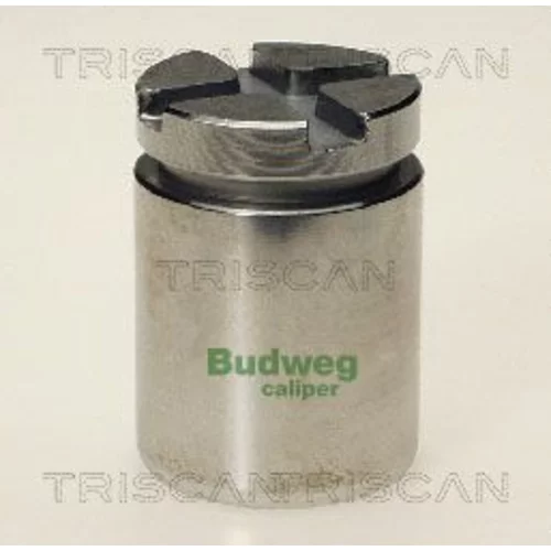 Piest brzdového strmeňa 8170 233414 /TRISCAN/