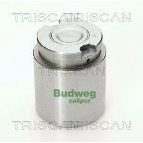 Piest brzdového strmeňa 8170 233418 /TRISCAN/