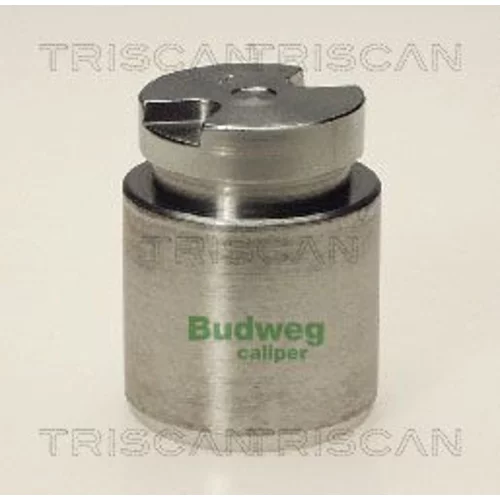 Piest brzdového strmeňa 8170 233511 /TRISCAN/