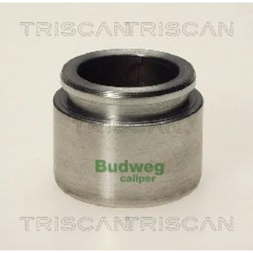 Piest brzdového strmeňa 8170 233825 /TRISCAN/