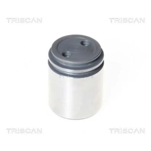 Piest brzdového strmeňa 8170 234040 /TRISCAN/