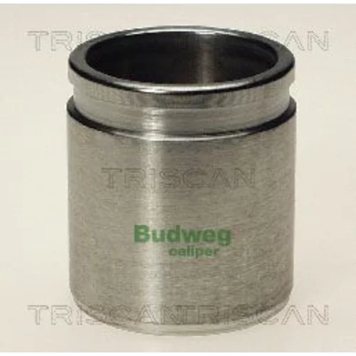 Piest brzdového strmeňa 8170 234329 /TRISCAN/