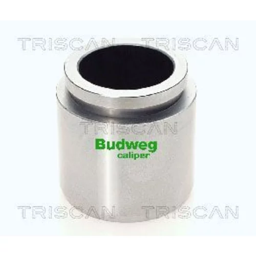 Piest brzdového strmeňa 8170 234608 /TRISCAN/