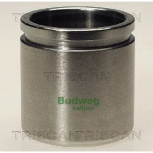 Piest brzdového strmeňa 8170 234842 /TRISCAN/