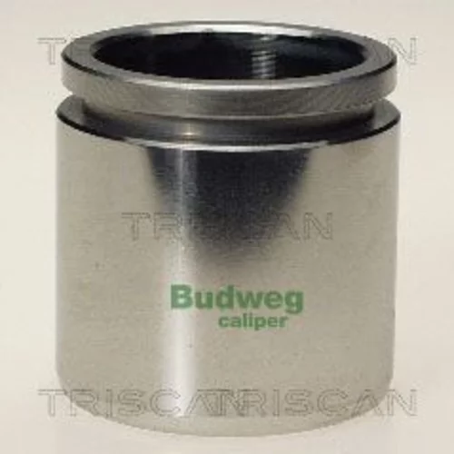 Piest brzdového strmeňa 8170 234845 /TRISCAN/