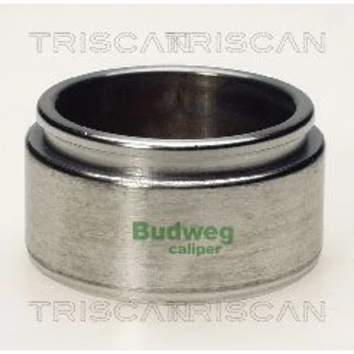 Piest brzdového strmeňa 8170 235401 /TRISCAN/