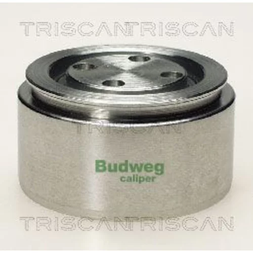 Piest brzdového strmeňa 8170 235402 /TRISCAN/