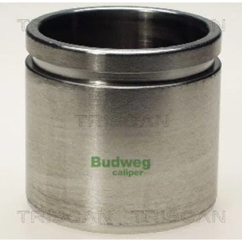 Piest brzdového strmeňa 8170 235717 /TRISCAN/