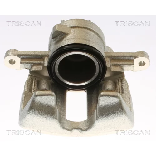 Brzdový strmeň TRISCAN 8175 10134